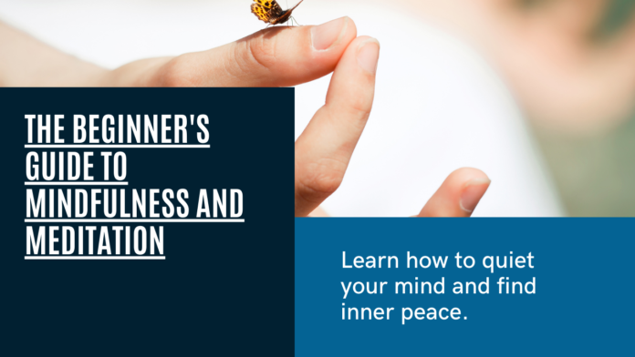 The Beginner's Guide to Mindfulness and Meditation: A Journey Within