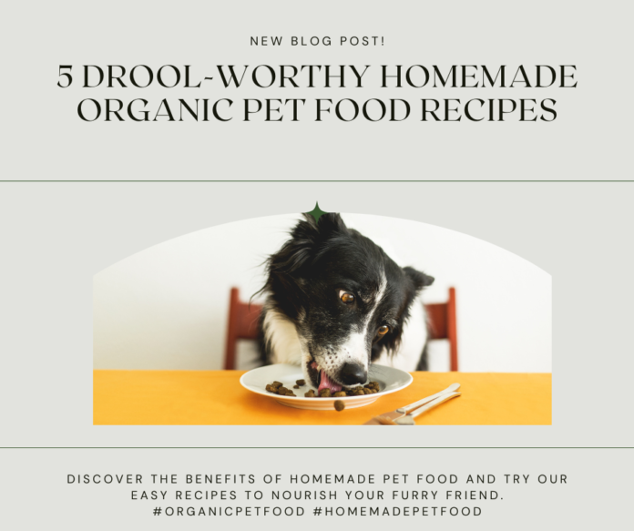 5 Drool-Worthy Homemade Organic Pet Food Recipes to Nourish Your Furry Friend: Ditch the Kibble