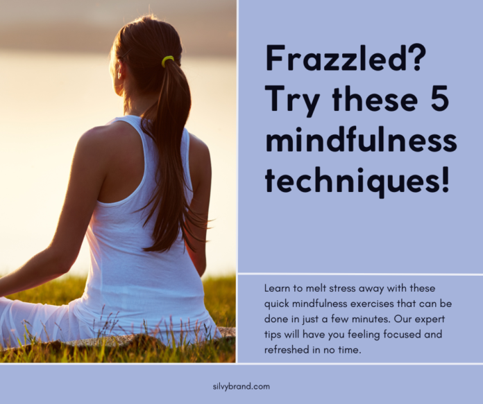 From Frazzled to Focused: 5 Powerful Mindfulness Techniques to Melt Stress Away (in minutes!)