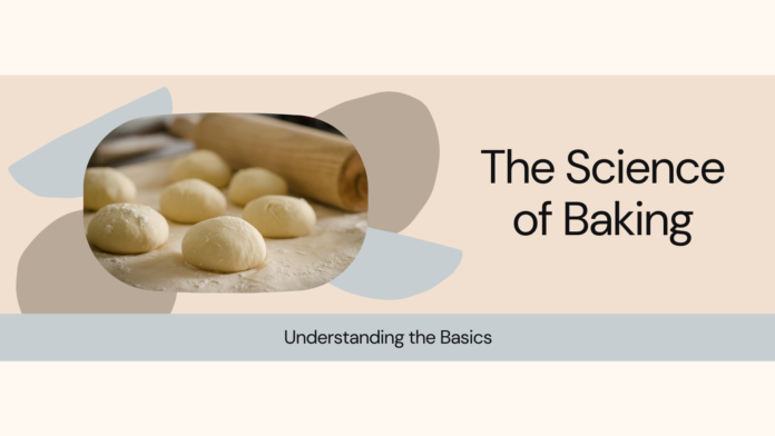 The Science of Baking: Understanding the Basics