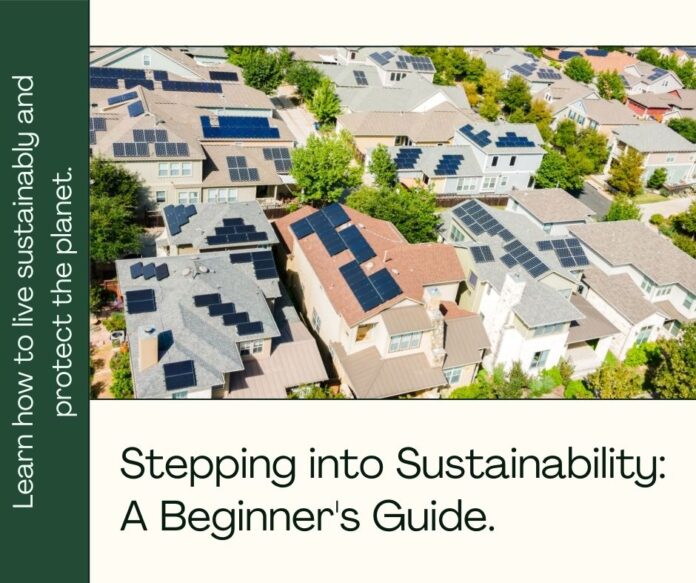 Stepping into Sustainability: A Beginner's Guide to Living Green