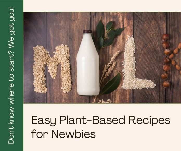 easy plant-based recipes for newbies