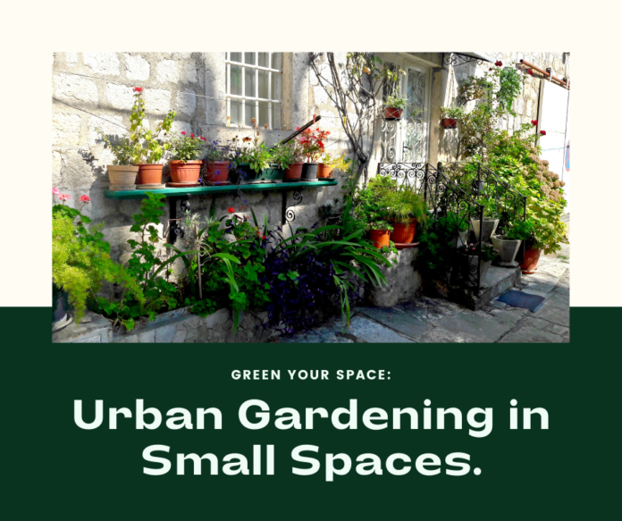 urban gardening in small spaces
