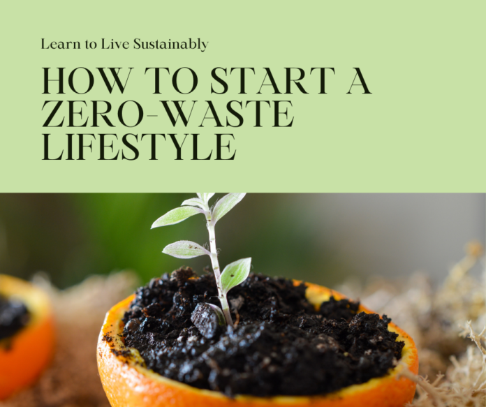 How to Start a Zero-Waste Lifestyle: A Beginner's Guide to Embracing Sustainability