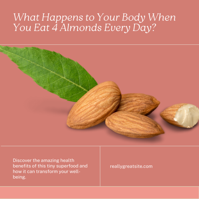 What Happens to Your Body When You Eat 4 Almonds Every Day? A Nutty Guide to Almond Power