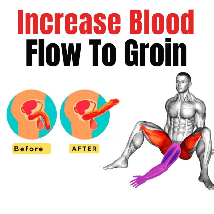 Boost Your Blood Flow: 5 Effective Exercises for the Groin Area