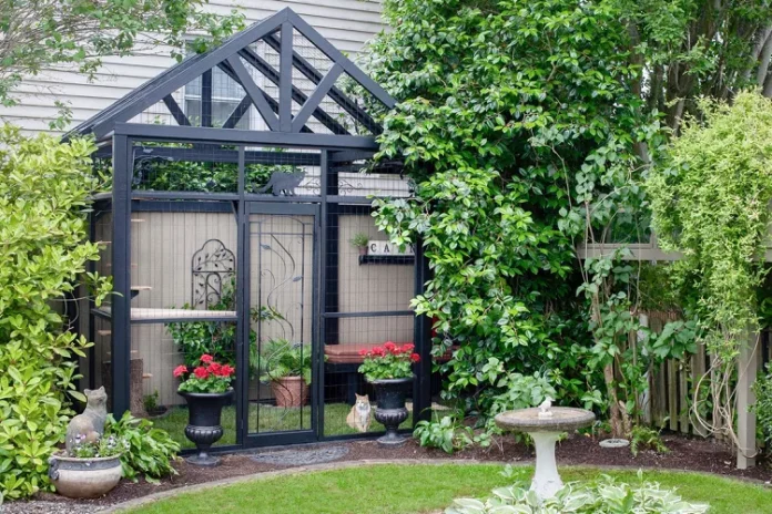 Stylish Catio Ideas: Safe Outdoor Fun for Your Cat